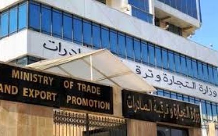 ابتداء من الـ1 أوت المقبل :   إطلاق المنصة الرقمية لاستيراد الخدمات 