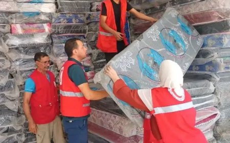 عملية تضامنية واسعة لفائدة العائلات المتضررة من حرائق الغابات