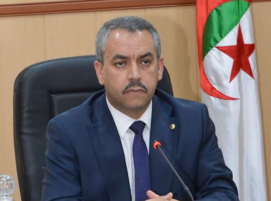 خلال ترأس الجلسة الختامية للندوة الوطنية لتحضير الدخول المدرسي المقبل : سعداوي يؤكد ضمان إعادة إدماج التلاميذ الراغبين في مواصلة الدراسة 