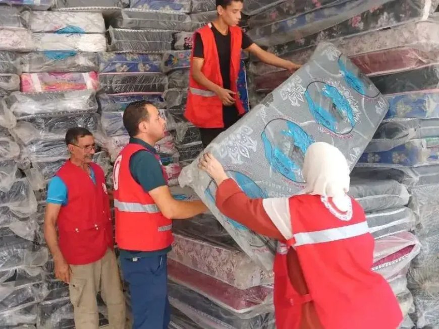 عملية تضامنية واسعة لفائدة العائلات المتضررة من حرائق الغابات