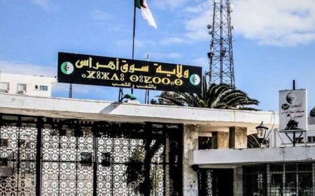 المجلس الولائي والوكالة العقارية بسوق أهراس يكثّفان جهودهما لمعالجة انشغالات