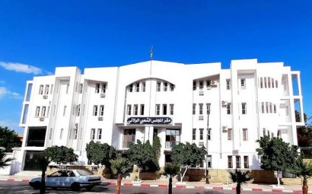 مسيلة:  تأكيد على تكامل الأدوار بين مختلف مؤسسات الدولة    