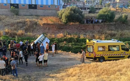 6وفيات و 22 جريحا حصيلة حادث انقلاب حافلة بولاية قسنطينة