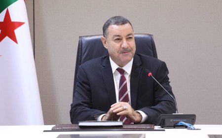 سعيود يقترح إجراءات ميدانية صارمة  للحد من مجازر الطرقات