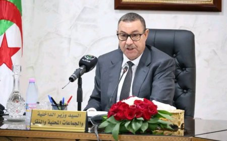  وزير الداخلية يأمر بتعويض متضرري حرائق الغابات قبل نهاية أوت  