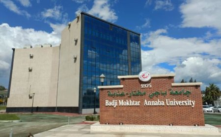 المدن الذكية والفيزياء والحوسبة الكمية تخصصات جديدة بجامعة باجي  مختار   