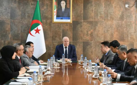 الحجار على طريق التأهيل.. شراكة جزائرية صينية لإعادة بعث صناعة الحديد والصلب