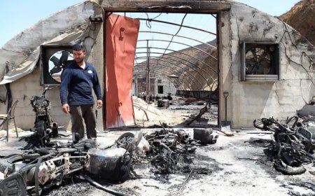 258 إعانة مالية لفائدة العائلات المتضررة من حرائق الصيف