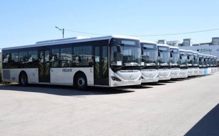  بنك" BNA" يموّل تجديد الحافلات القدييمة بنسبة تصل إلى 90 بالمائة