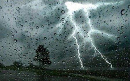 نشرية خاصة:أمطار مرتقبة على عدة ولايات يومي الخميس والجمعة      
