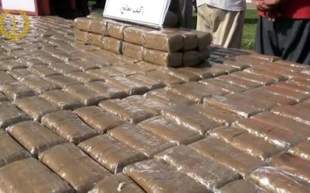الدرك يوقف شاحنة بطيخ محملة ب196 كلغ من "الكيف" باتجاه قسنطينة