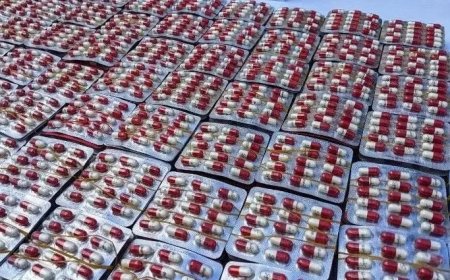 أكثر من مليون قرص مهلوس وكوكايين في قبضة الدرك