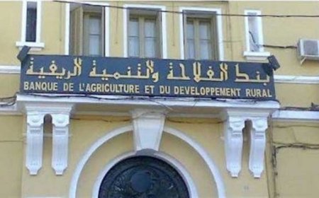 بنك "بدر" يطلق قرضا لاقتناء حافلات جديدة لنقل المسافرين