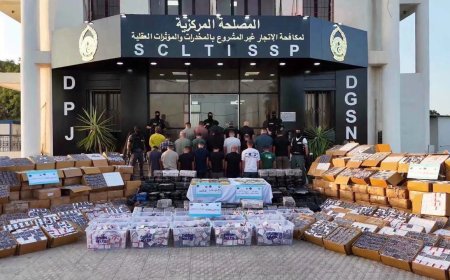 تفكيك شبكة دولية منظمة وضبط ما يفوق 10ملايين مؤثر عقلي وأزيد من 33 كلغ من الكوكايين
