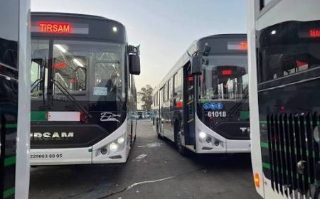 بنك "CPA" يمول 90 بالمائة من إقتناء الحافلات الجديدة