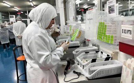 صيدال ترفع وتيرة إنجاز مشاريع الأنسولين واللقاحات وعلاجات السمنة بقسنطينة