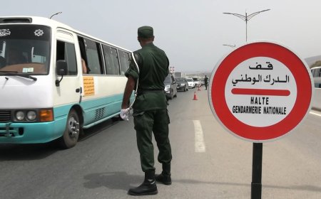 الدرك الوطني .. يحذر: الحبس وغرامة 20 مليون سنتيم لممارسة النقل دون شهادة كفاءة مهنية