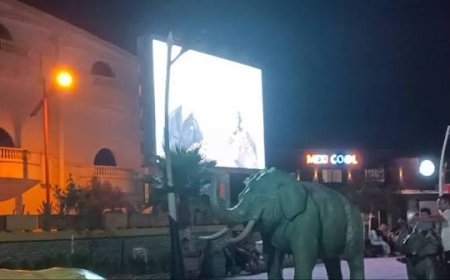 قوافل سينما الهواء الطلق تجوب بلدية سوق أهراس 