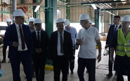 انجاز مصنع المواد الأولية للمضادات الحيوية بالمدية