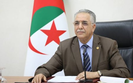 ساعد عروس رئيسا للسلطة الوطنية المستقلة للانتخابات