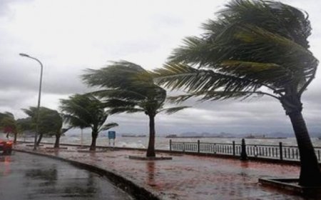 رياح قوية وأمطار رعدية على العديد من ولايات الوطن