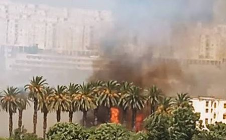 حريق بأشجار النخيل عند مدخل جامعة سكيكدة.. أ