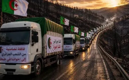 هبّة تضامنية وطنية لمؤازرة المتضررين من حرائق الغابات