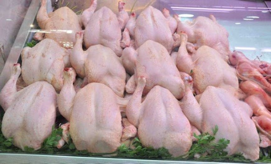'صاربا' تضخ دجاج محلي مجمد بأسعار مسقفة 