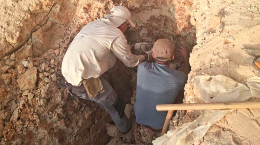 زيارة علمية لموقع "رجل تيغنيف" الأثري بمعسكر لاستكمال أشغال الحفريات 