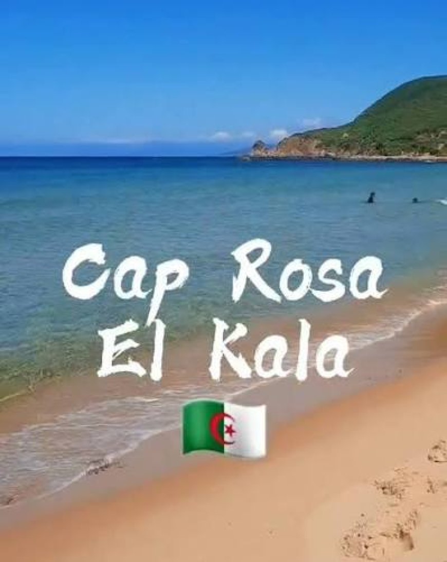 زوار القالة يشتكون تدني خدمات شاطئ كاب روزا والرمال الذهبية؟