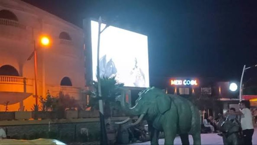 قوافل سينما الهواء الطلق تجوب بلدية سوق أهراس 