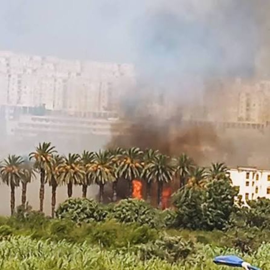 حريق بأشجار النخيل عند مدخل جامعة سكيكدة.. أ