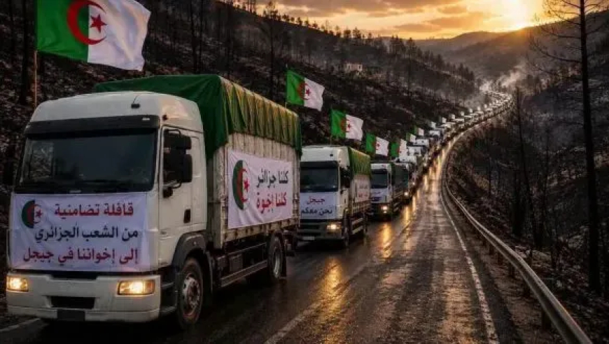هبّة تضامنية وطنية لمؤازرة المتضررين من حرائق الغابات