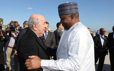 الرئيس تبون يجدد التزام الجزائر بدعم النيجر  