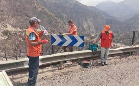 الولايات المتضررة من الحرائق:  إصلاح شبكات المياه والكهرباء والاتصالات وإعادة تهيئة الطرقات