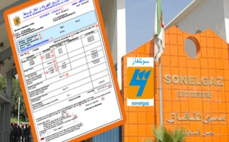 ديون زبائن سونلغاز سكيكدة تتراكم