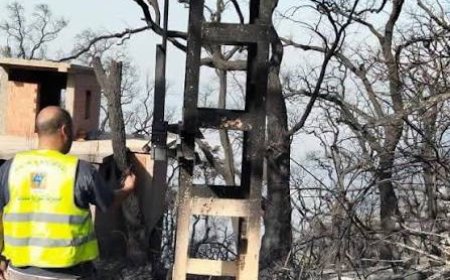 عنابة: إسترجاع شبه تام للتزود بالكهرباء بالمناطق المتضررة من الحرائق