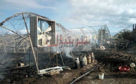 حريق مهول يلتهم مشروع تربية الدواجن ويقضي على أحلام مستثمر بمداوروش