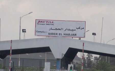 مركب الحجار.. ملف ثقيل على طاولة وزير الصناعة الجديد