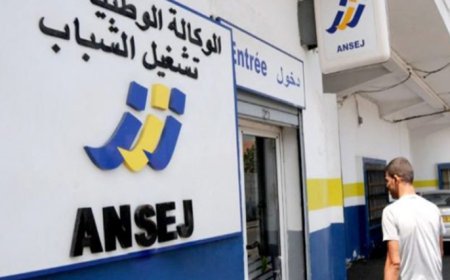 "كناك" و"أونجام" تشرعان في إستقبال ملفات توسعة نشاطات أصحاب المؤسسات المصغرة بعنابة