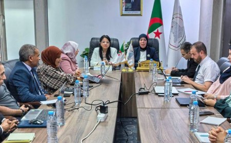 منظومة رقمية موحدة لضبط السوق الوطنية قيد التجسيد  