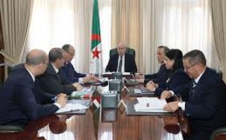 تجارة خارجية: رئيس الجمهورية يترأس اجتماعا لاتخاذ الإجراءات اللازمة ضد أصحاب التصريحات الكاذبة