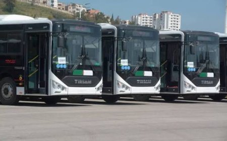 ايتوزا عنابة تفتح 130 منصب عمل وتعزز خطوط النقل