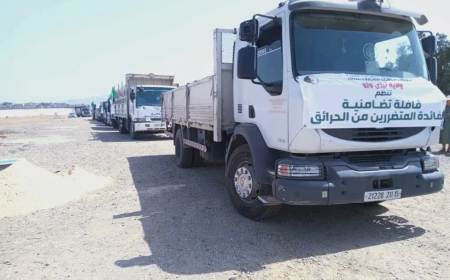 تيزي وزو:  إسدال الستار على فعايات القافلة التضامنية المنظمة لفائدة المتضررين من الحرائق 