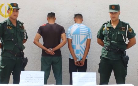 قالمة:  توقيف شخصين واسترجاع 350 متراً من الكوابل النحاسية 