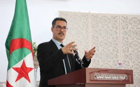وزارة الشباب تبحث مع شركائها تعزيز تمكين الشباب في الجزائر