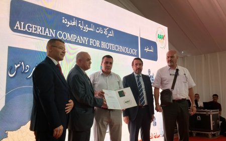 ببومرداس:  استثمارات تفوق 8.4 مليار دينار ومشاريع مرتقبة توفر أكثر من 1300 منصب شغل مباشر    