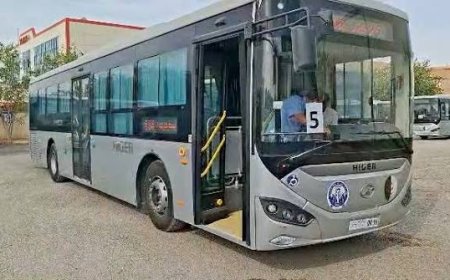 المسيلة تعزز أسطول النقل العمومي بـ20 حافلة جديدة