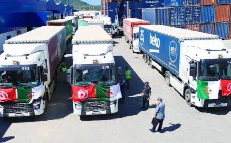 الطارف تصدر 10 حاويات من المنتجات الكهرومنزلية نحو تونس