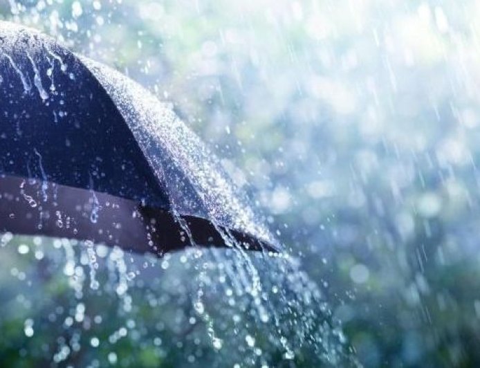 أمطار رعدية ورياح على عدة ولايات من الوطن